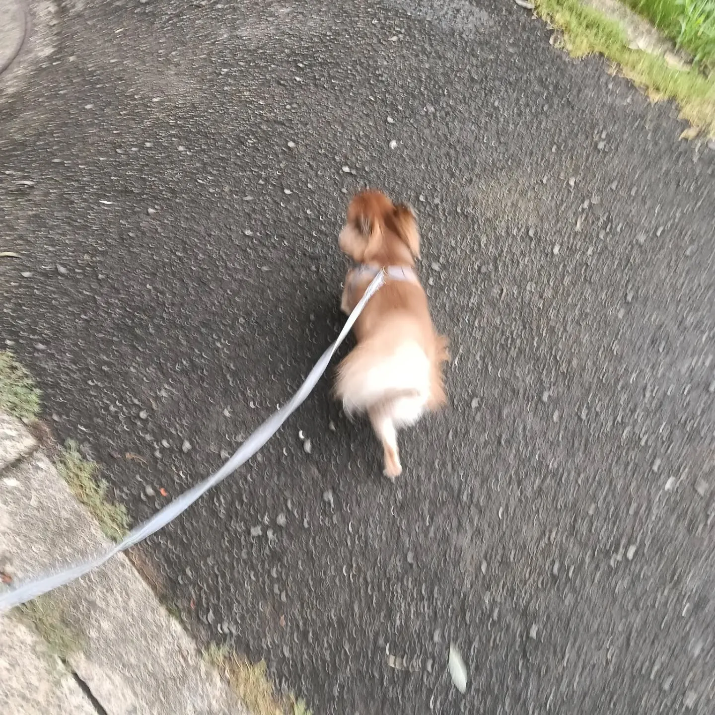 おはようございます！
