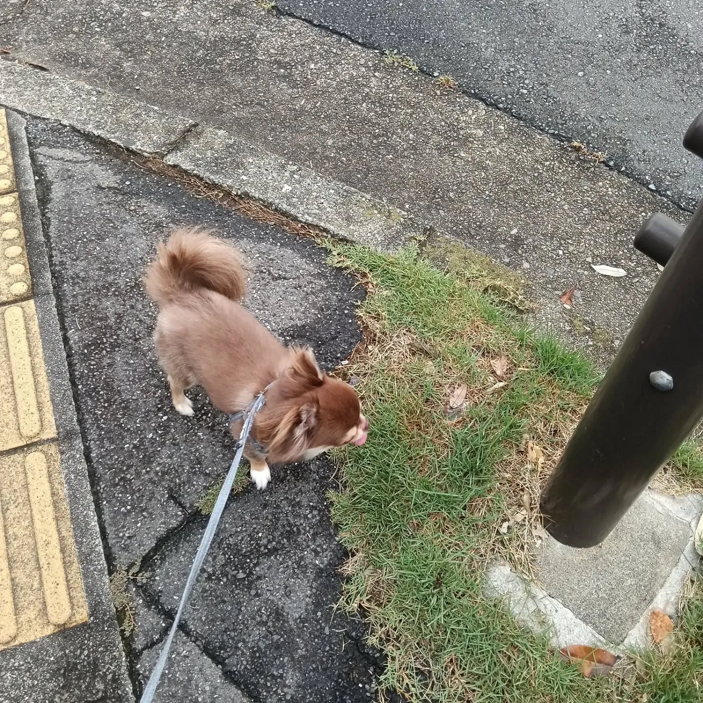 おはようございます！