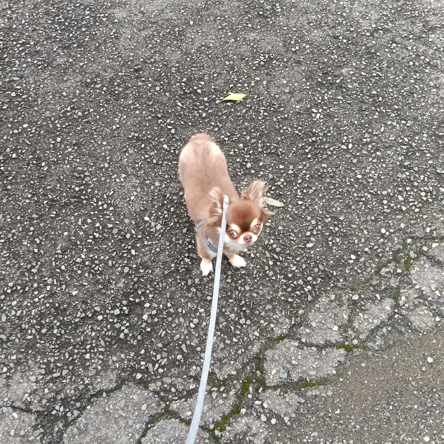 おはようございます！