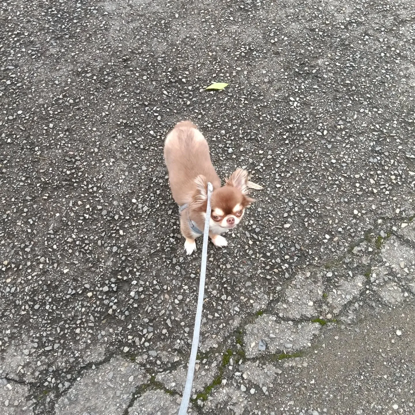 おはようございます！