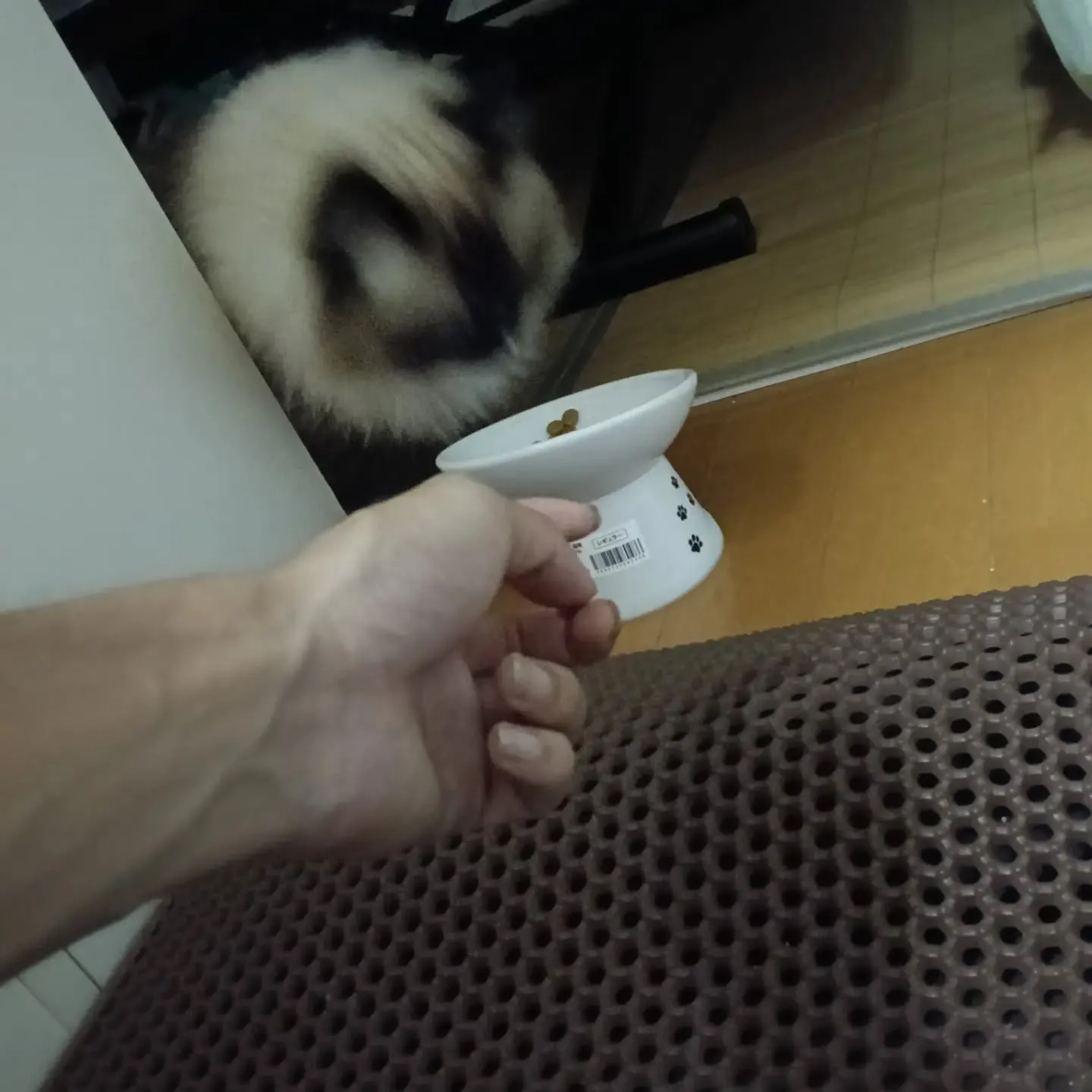 こんばんは！