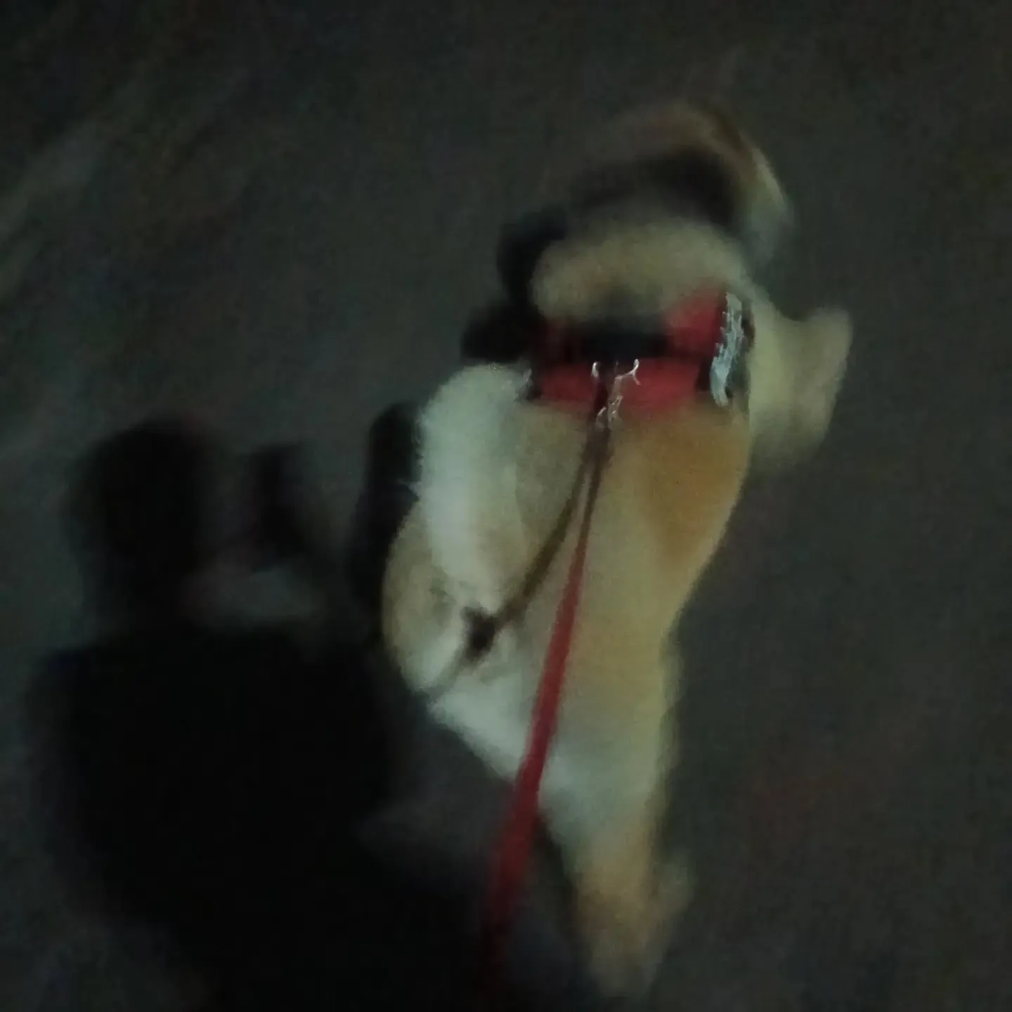 こんばんは！