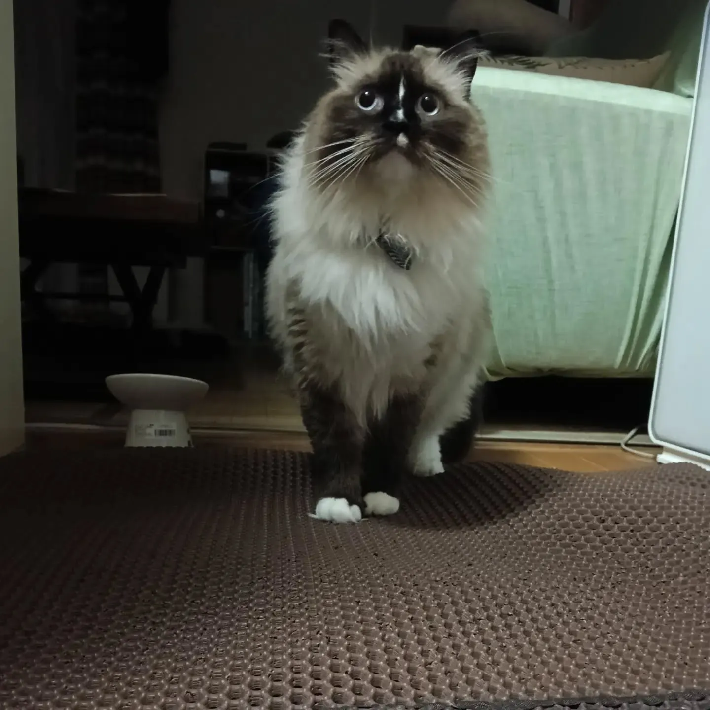 おはようございます！