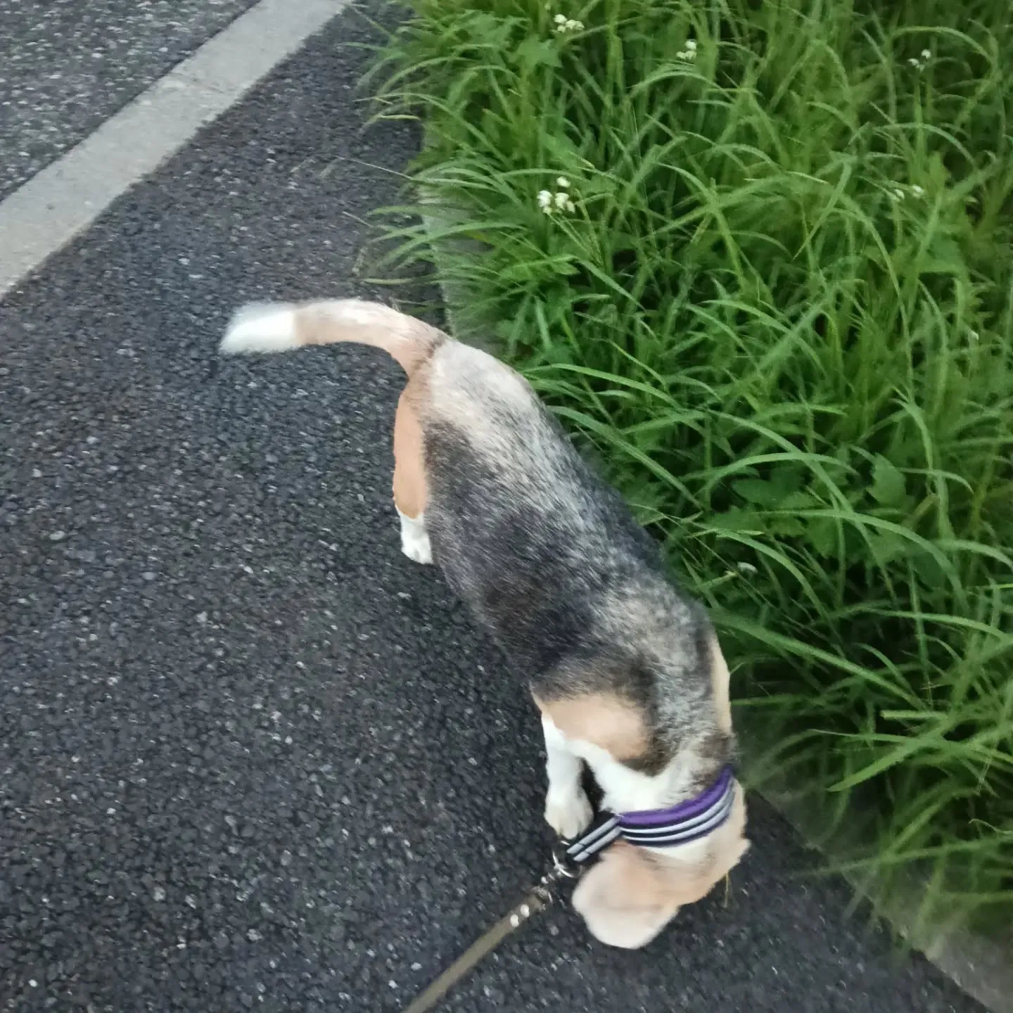 おはようございます！