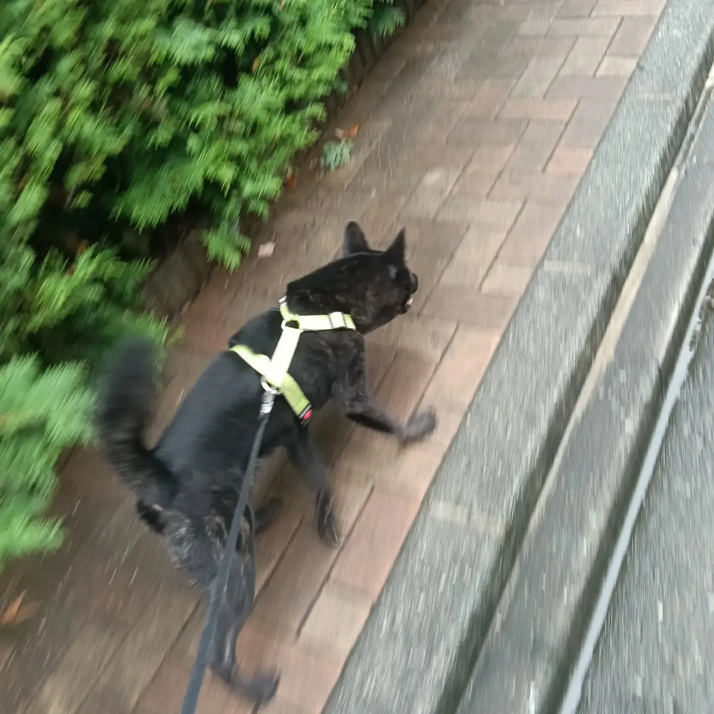 こんにちは!