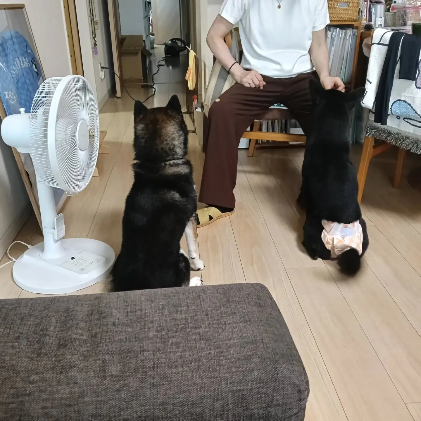 こんにちは！