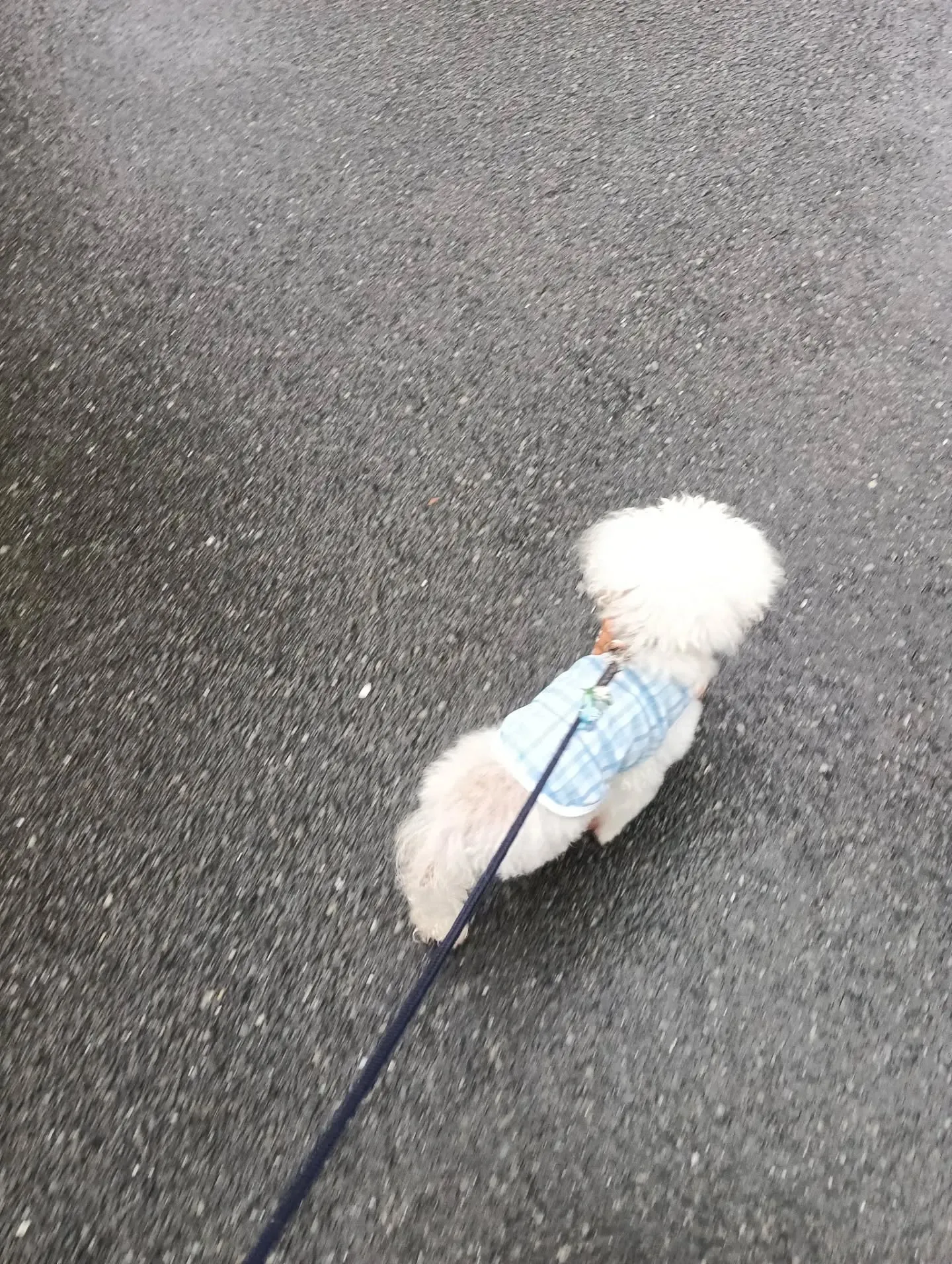 こんばんは！