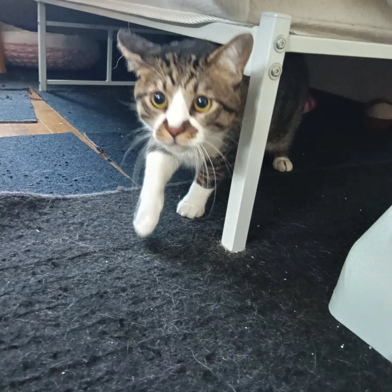 こんばんは！