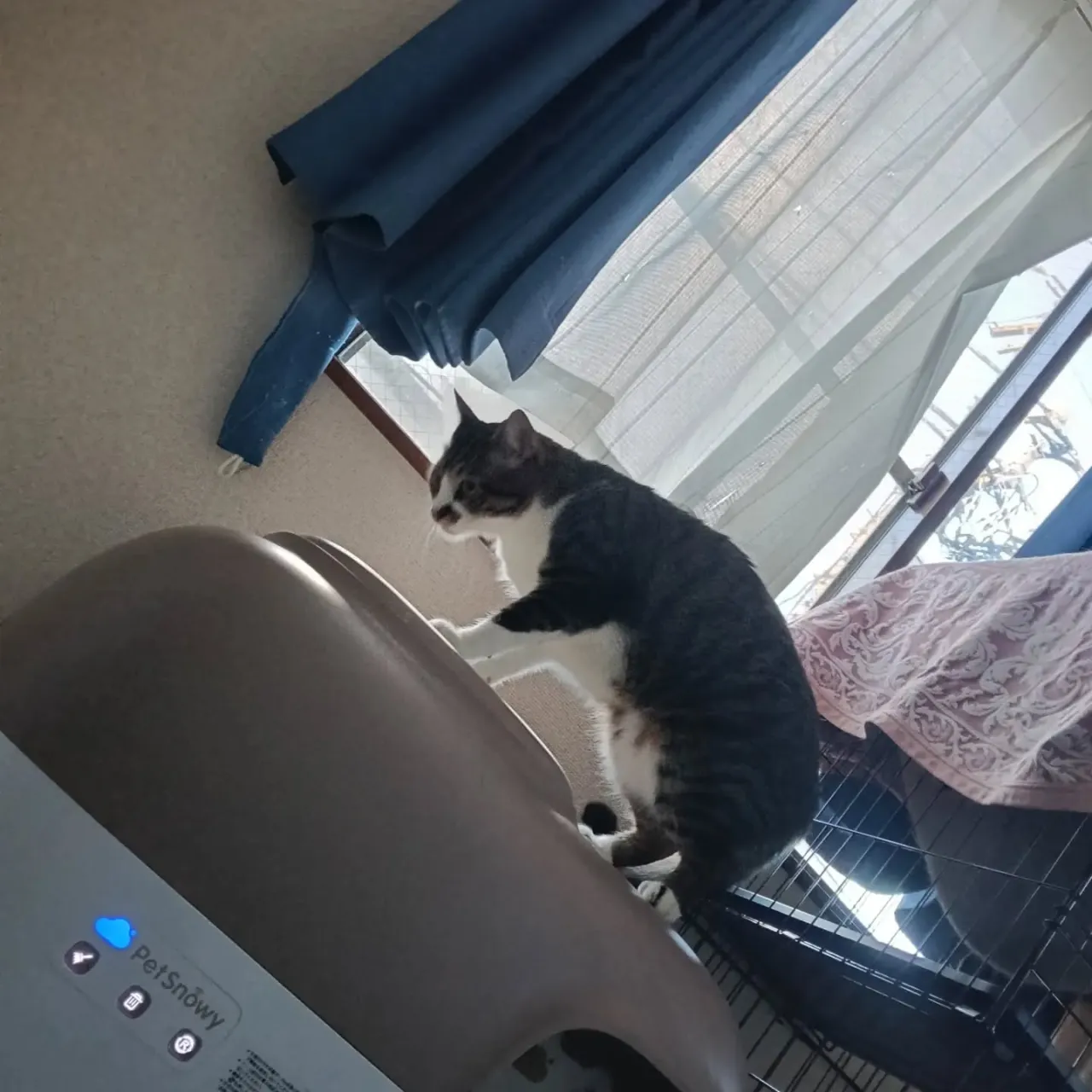 こんばんは！