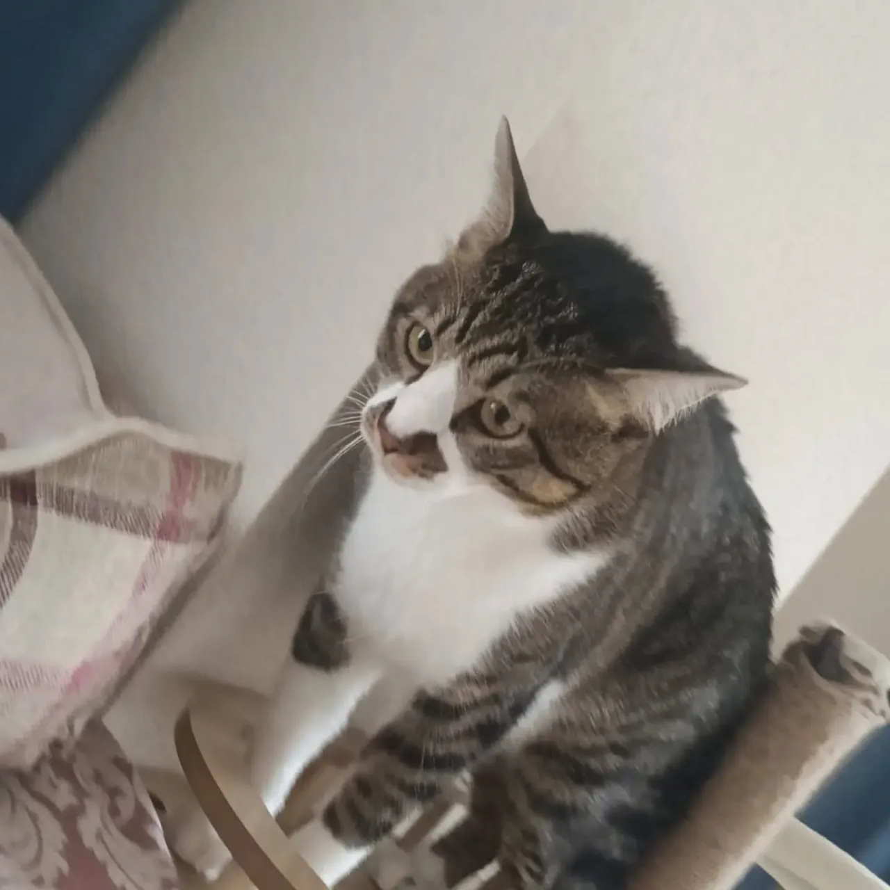 こんばんは!