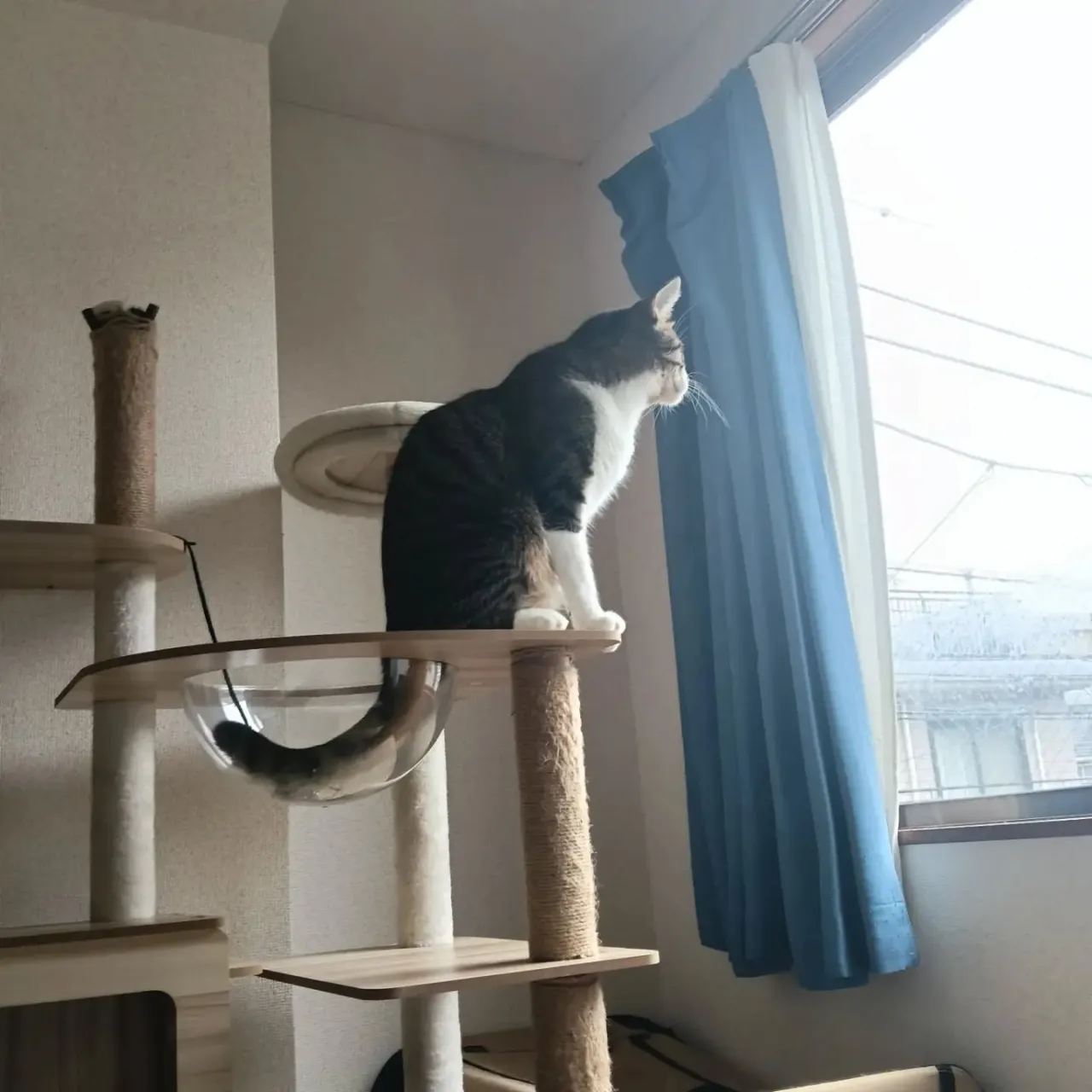 こんばんは!