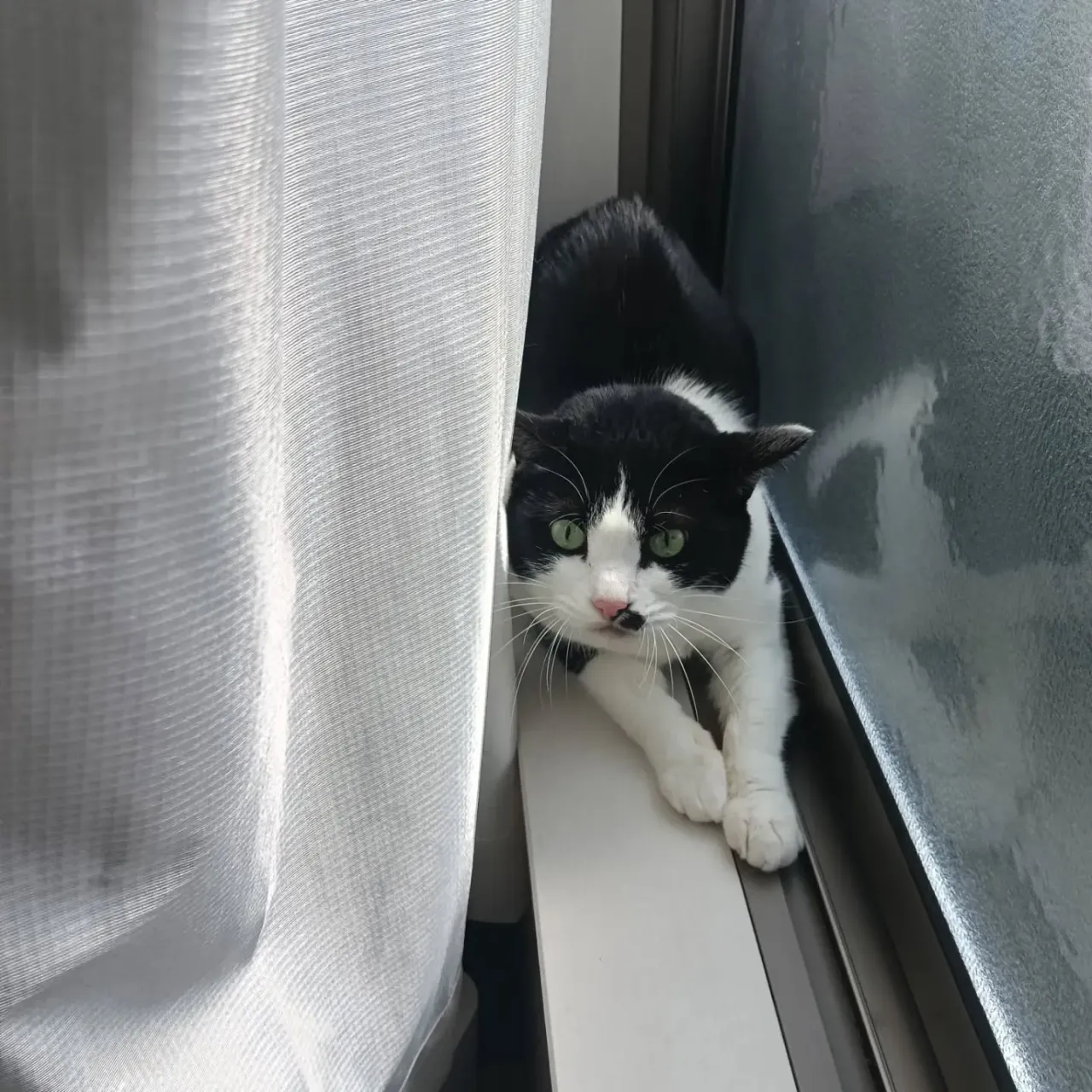 こんばんは！
