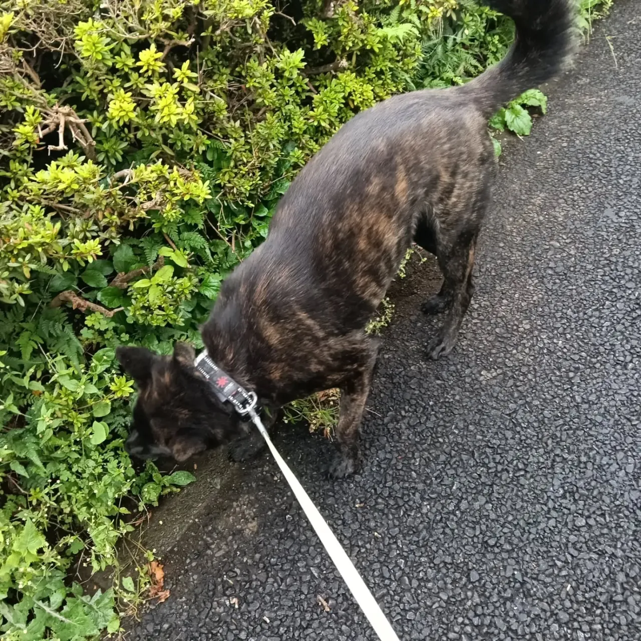 こんにちは!