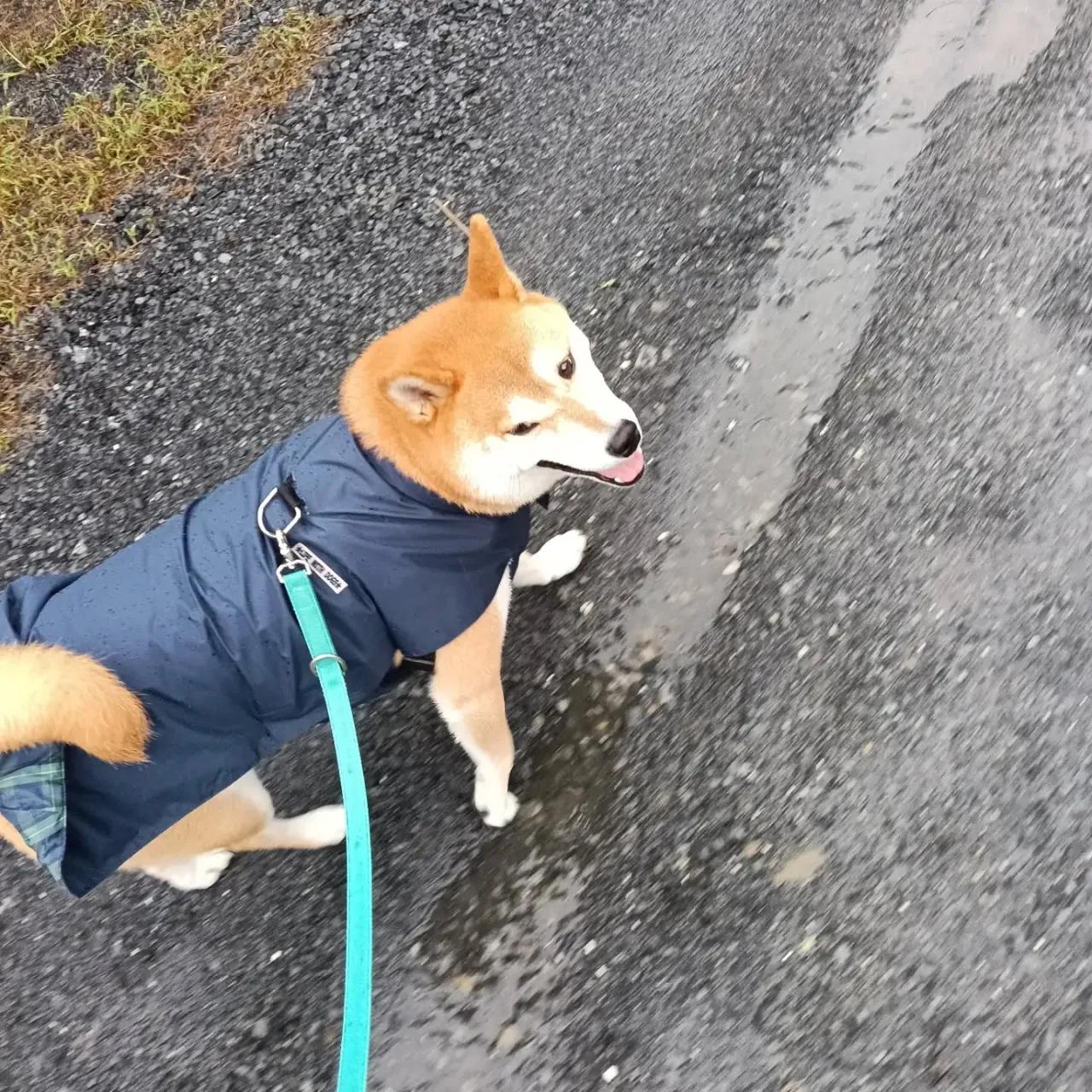 おはようございます！