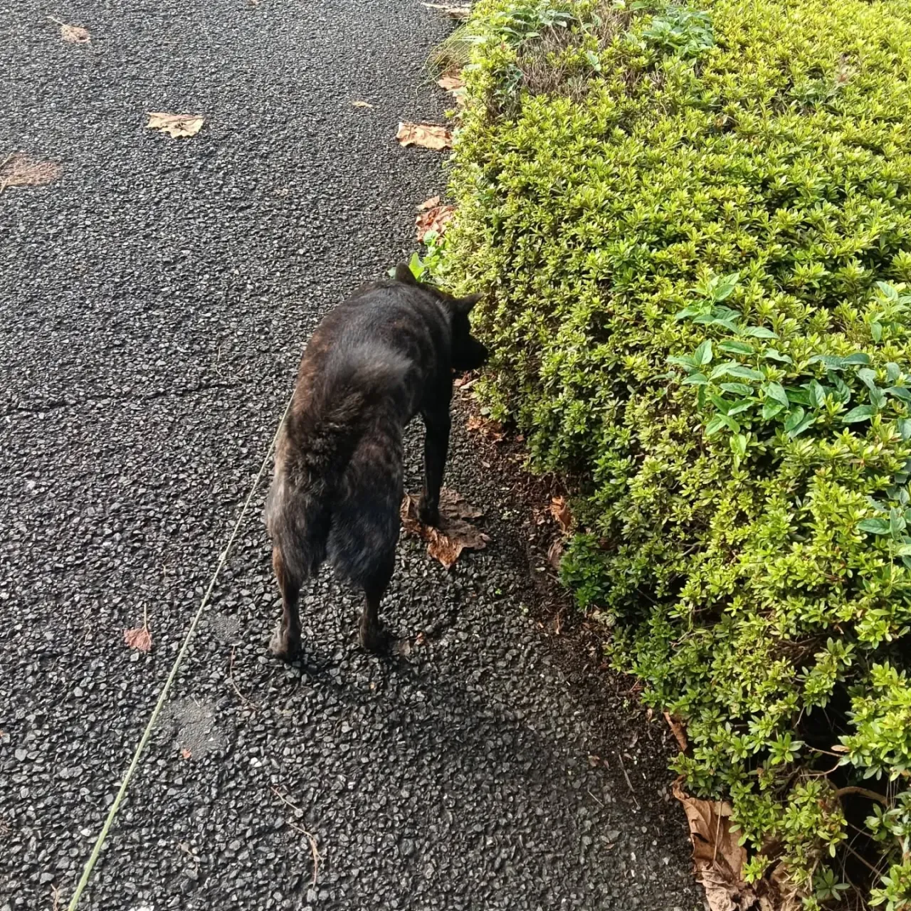 こんばんは！