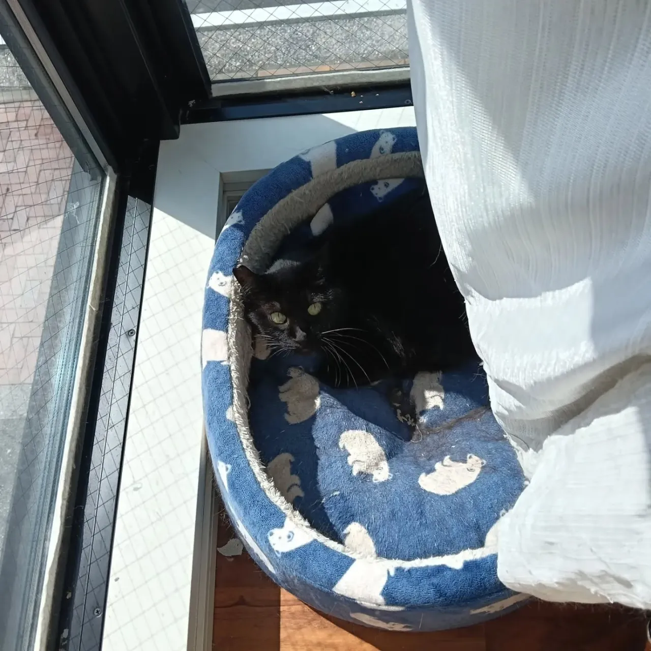 こんにちは！