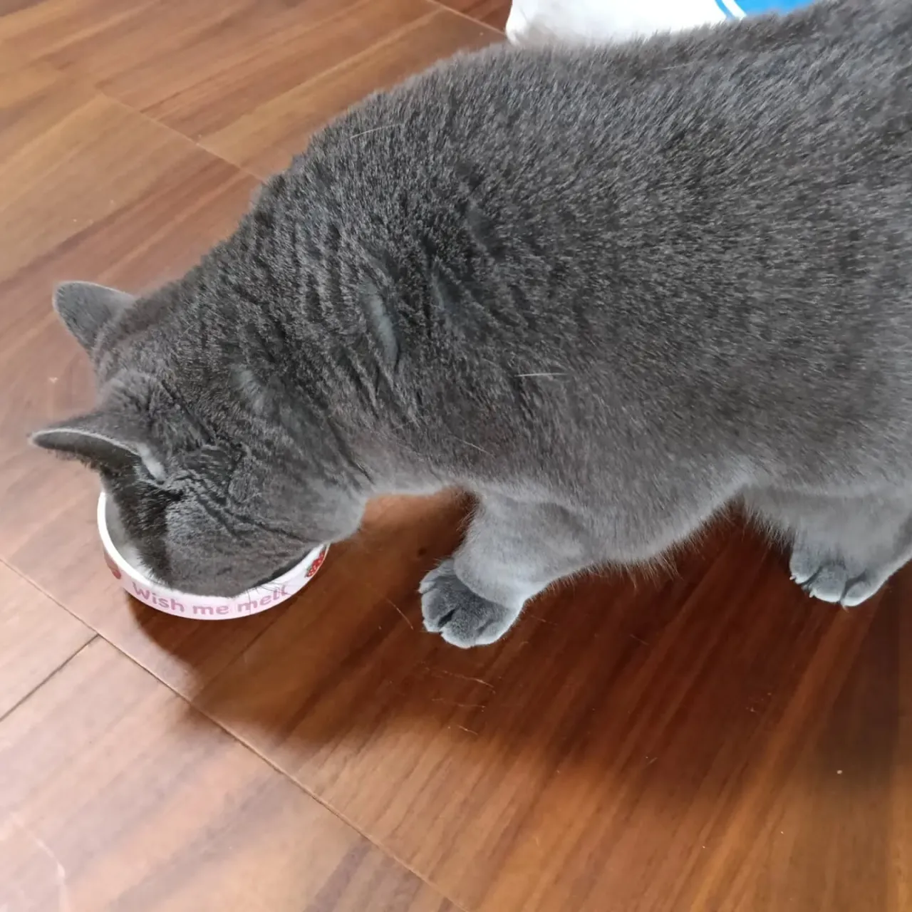 こんにちは！