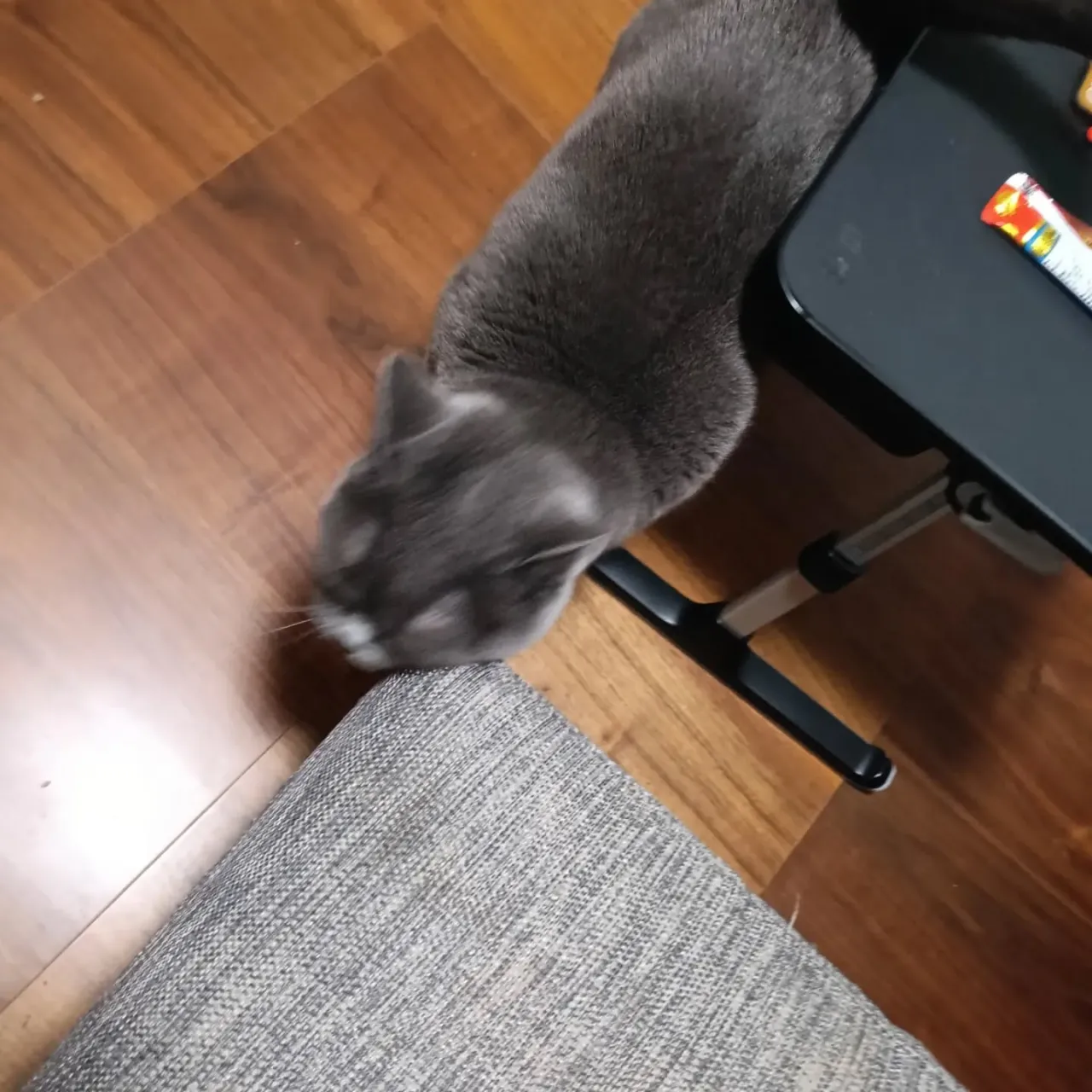 こんにちは！