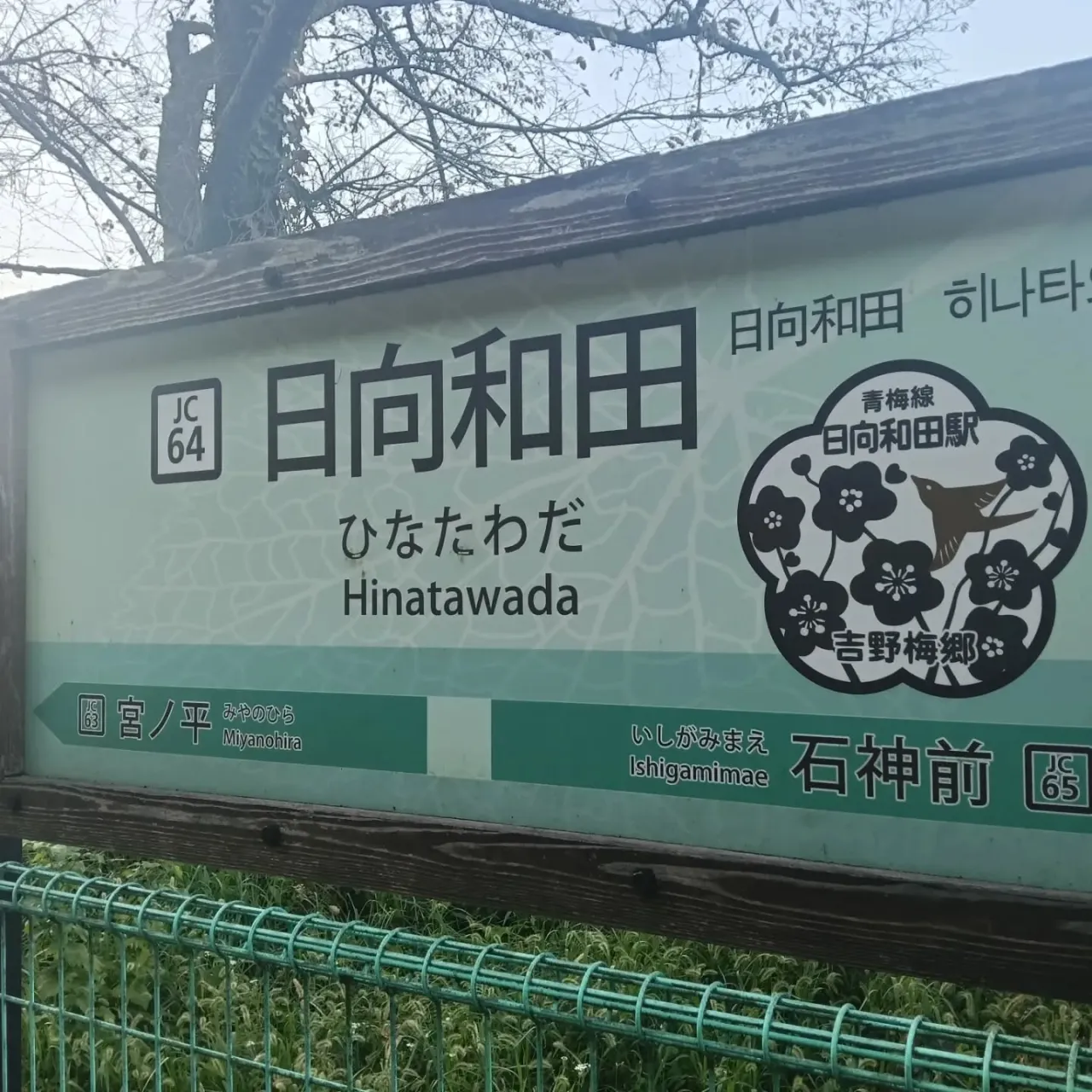 おはようございます！