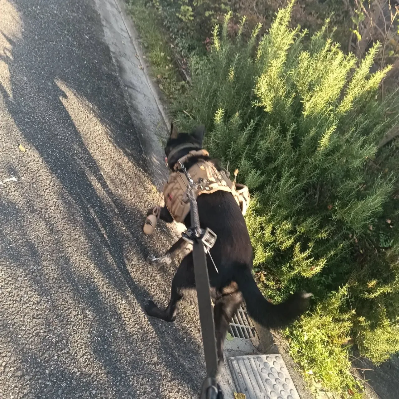 おはようございます！