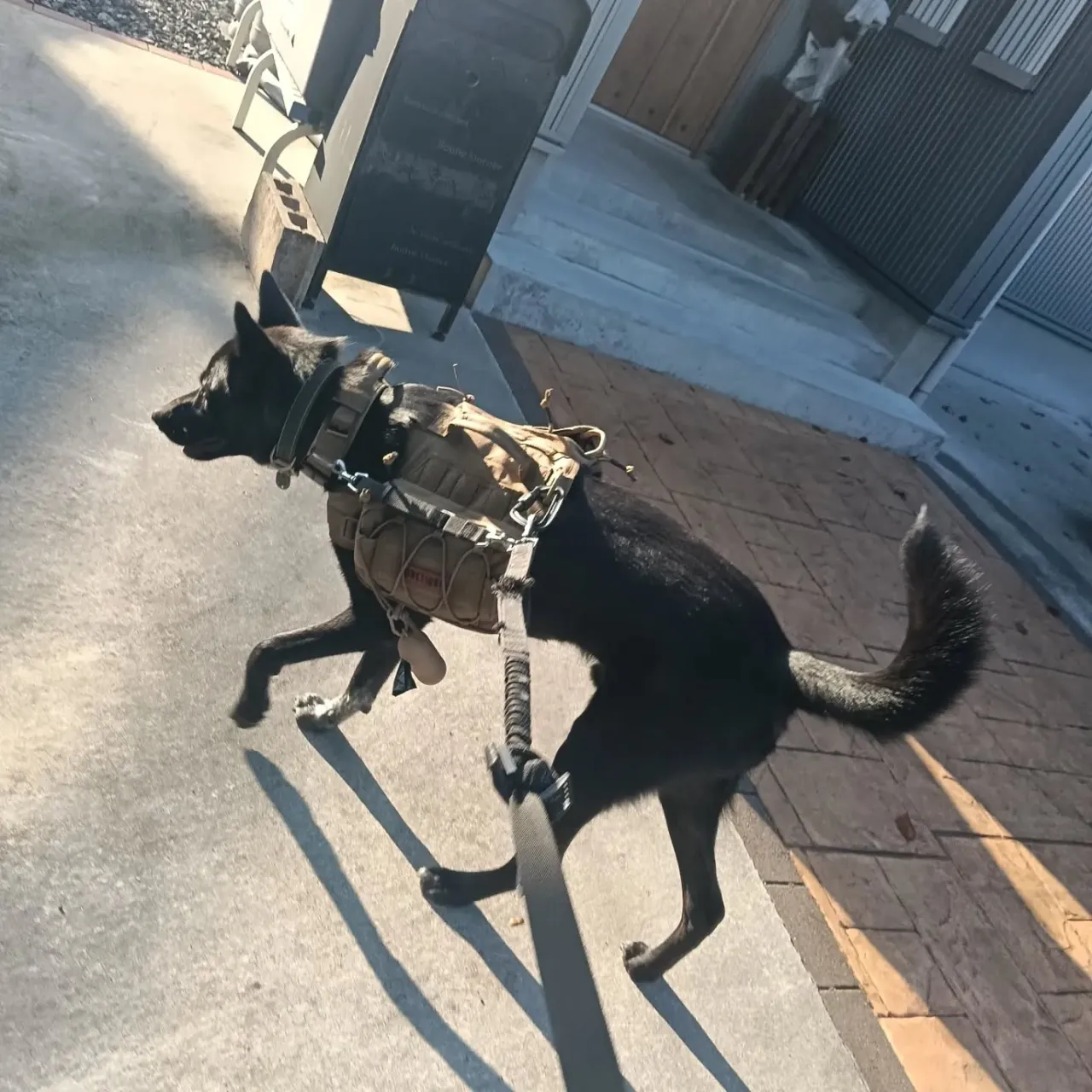 おはようございます！