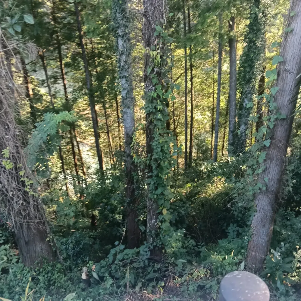 おはようございます！