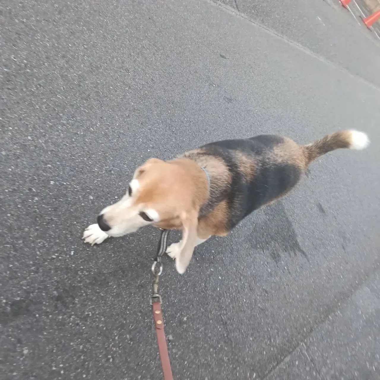 こんばんは！