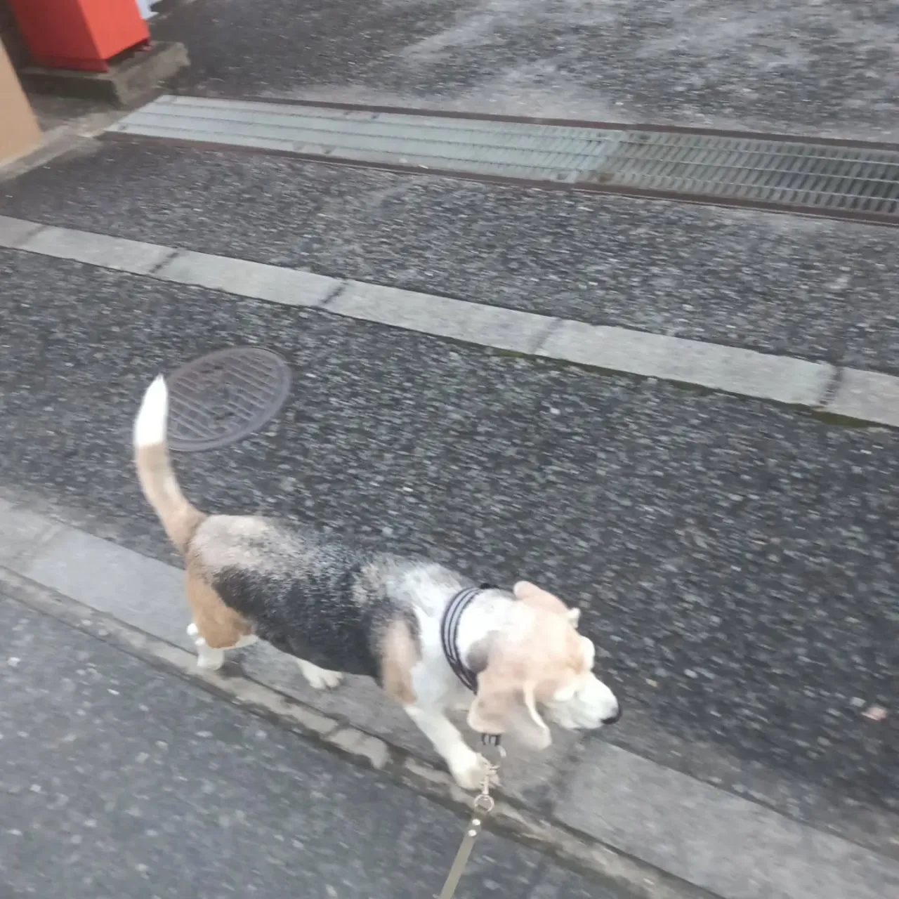 こんばんは！