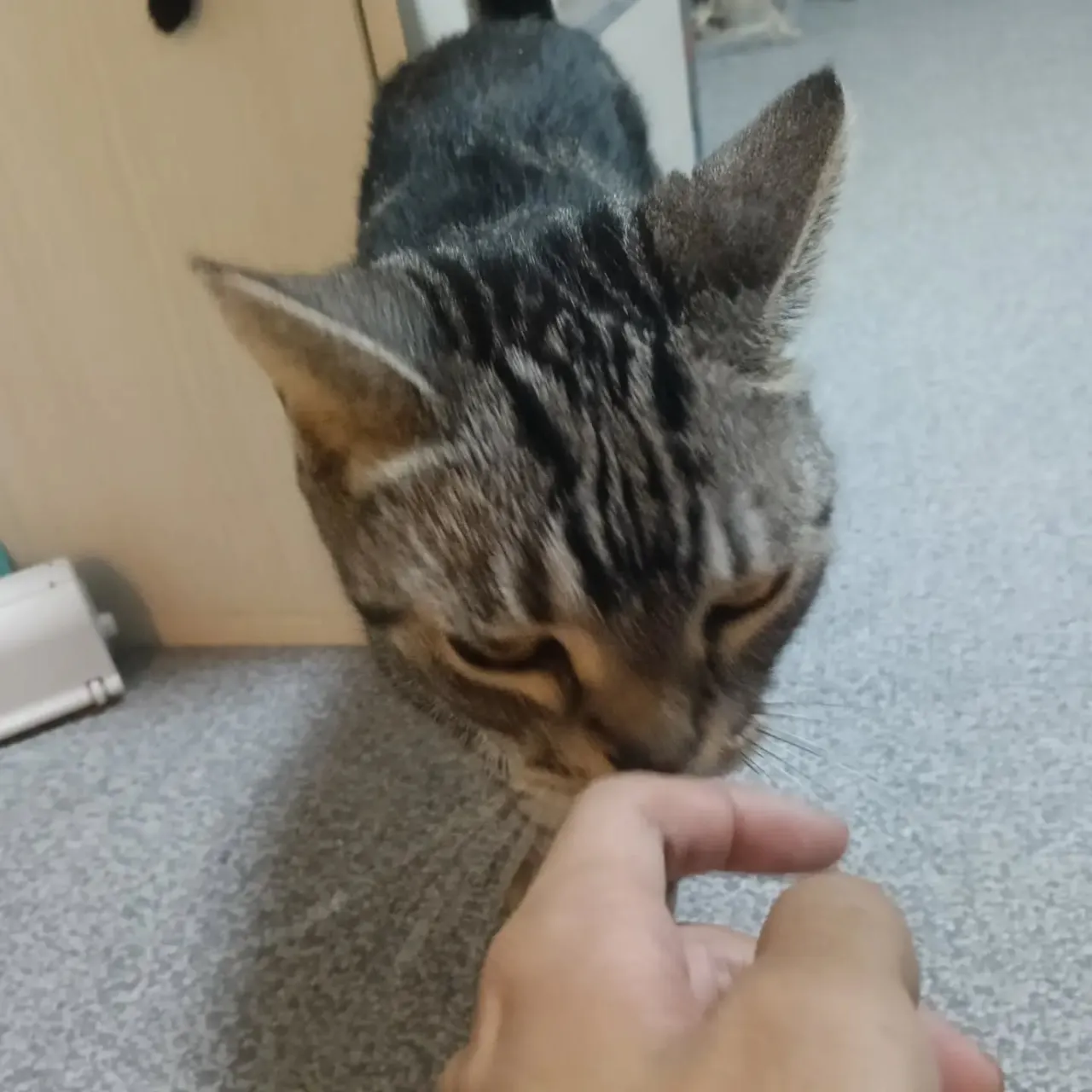こんばんは！