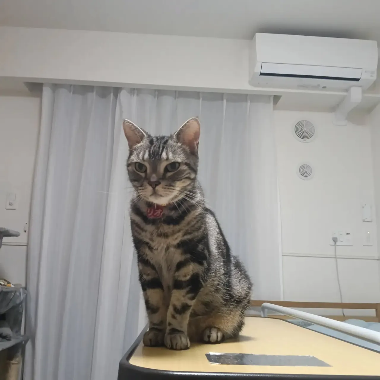 こんばんは！