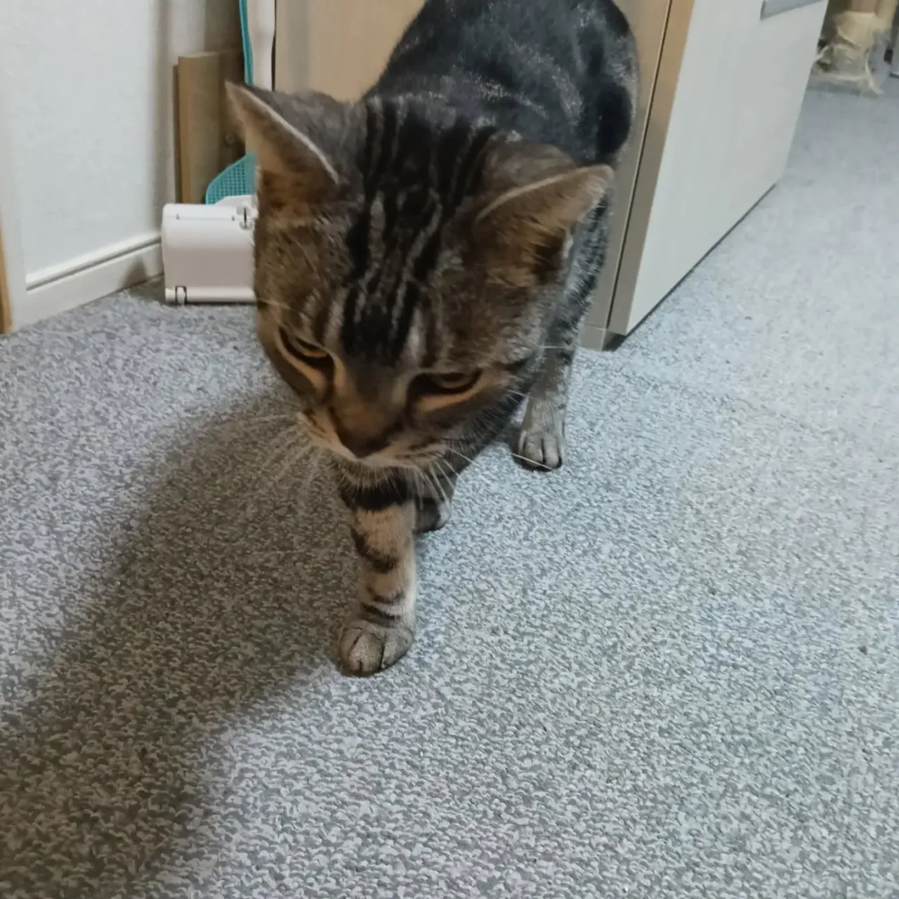 おはようございます!