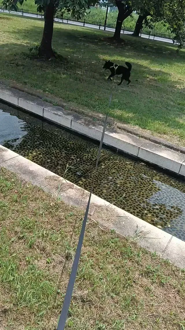 こんにちは！